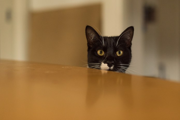 L&amp;J (119 of 209)